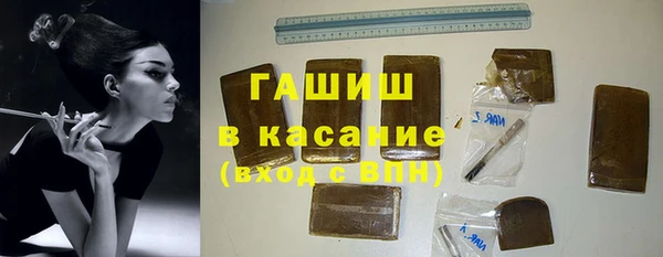 гашик Кедровый