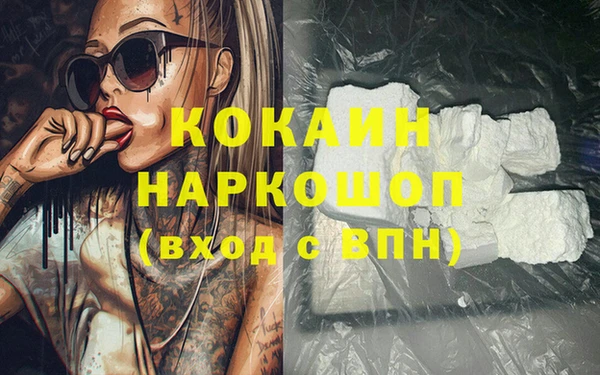 стаф Сосновка