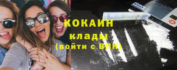 стаф Сосновка
